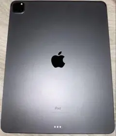 M1 iPad Pro 12.9インチ(第5世代) 256GB