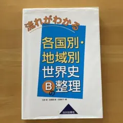 流れがわかる 各国別・地域別世界史Bの整理