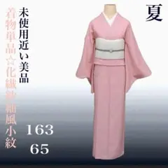 【未使用近い・美品】洗える着物 絽 色無地 シルクタッチ 着物単品 裄65