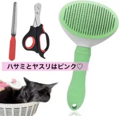 Item thumbnail for item beda90d6-1955-497e-896f-6a786cd2d33b