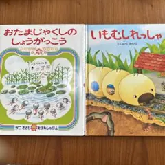 おたまじゃくしのしょうがっこう & いもむしれっしゃ 絵本セット