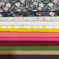 デコレクションズ　はぎれ　 27×34：3枚、27×27：9枚　合計12枚