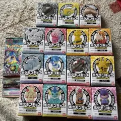 ポケモンキッズロイと旅の仲間たち編コンプリートセット