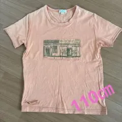 a.v.v オレンジ Tシャツ 110