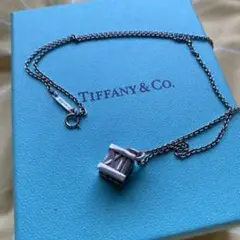 Tiffany ティファニー アトラス ネックレスとブレスレットのセット