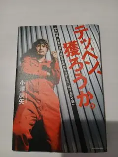 テッペン、獲ろうか。 小澤辰夫　書籍　本