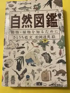 自然図鑑 さとうち藍/松岡達英 1988年7月発行 福音館書店