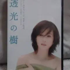 2025年最新】透光の樹 [dvd]の人気アイテム - メルカリ