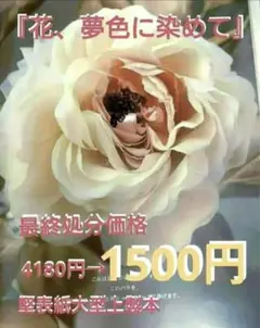 美品⭐️染色創花『花、夢色に染めて』をお求めやすくなんと初の1500円で‼️