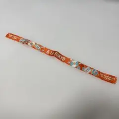SUMMER SONIC 2025 東京 入場リストバンド