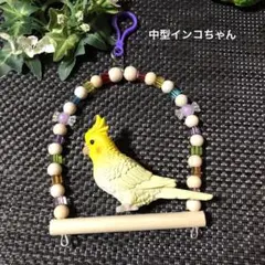 中型インコちゃんサイズカラフルブランコ