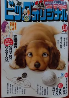 ビッグオリジナル 2025年8月20日号