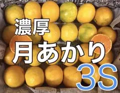 g0306 濃厚「月あかり」1kg みかん 3Sサイズ 和歌山県
