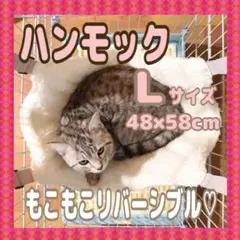 Item thumbnail for item 1a5e5c2b-8e74-4ee4-b94f-3955950aabe8