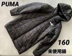 Item thumbnail for item fef29514-f116-400b-91d7-ac6250078c8b