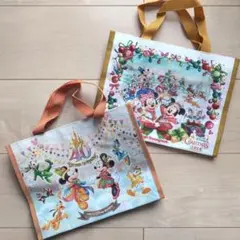 【美品】東京ディズニーリゾート　チョコクランチ　ファスナー付きバッグ　2枚セット