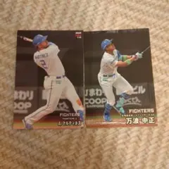 カルビー　プロ野球チップス　2025年　第2弾　100　万波中正