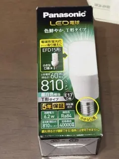 Panasonic LED電球 LDT6N-G-E17/S/T6