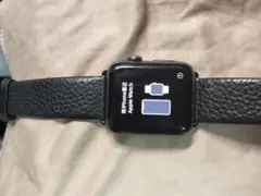Apple Watch Series 2 42mm MP0H2J/A