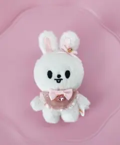 skzoo10cmぬい服リボン+スタイセット