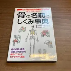 ぜんぶわかる骨の名前としくみ事典 : 部位別にわかりやすくビジュアル解説