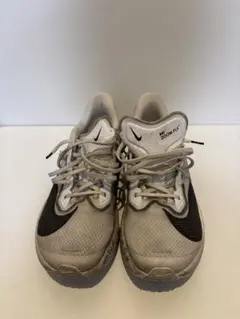 Item thumbnail for item 93f5d1fe-b6f6-435a-9809-9d16873038cd