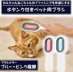 Item thumbnail for item 7bb86bb8-41ba-4072-9d8a-d90f1de790f6