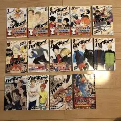 ハイキュー！　小説　14冊セット　ゴミ捨て場の決戦