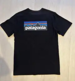 patagonia ブラック Tシャツ M