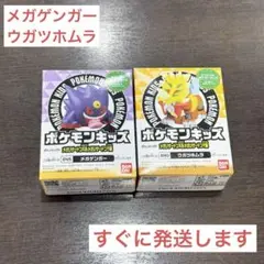 ポケモン キッズ メガゲンガー ウガツホムラ ソフビ人形 ２種 セット