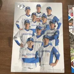 日ハム　ファン感謝祭クリアファイル