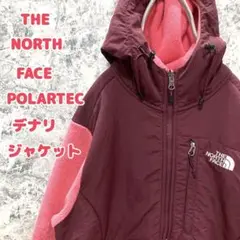 SN15USA規格ノースフェイスモックネックポーラテックデナリジャケット