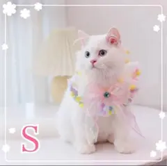 Item thumbnail for item 68d85246-0573-4aa6-b4aa-3ba550501739