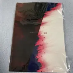 Sadie 20周年記念 脈拍 パンフレット