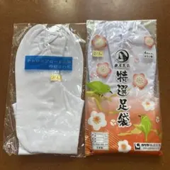 Item thumbnail for item 00ca3f35-6daf-4869-8094-11b5e5a1f27a