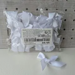 Item thumbnail for item fcbe9a10-32a0-472f-9a38-3331037140b0