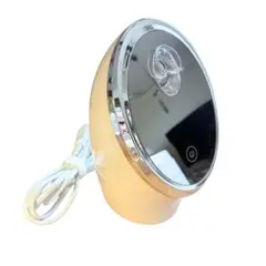 Item thumbnail for item 132e55df-23fb-4430-99cc-d0c62aaee85c