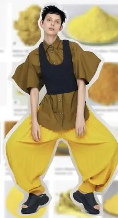 スビンタイプライター Petal Sleeve combi SHIRT