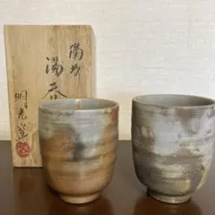 y045 明光窯 備前焼 宝瓶 獅子摘み 共箱 未使用 急須 茶道具 信水窯】宝瓶/焼締 | 【丹波のイロドリ】丹波焼(陶器)の公式通販