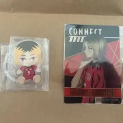 ハイキュー