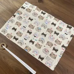 Item thumbnail for item 6fa3bb6e-ff5b-4404-aaf9-12edc45ccfb0