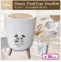 ディズニー プッシュ式 ダストボックス ミッキー ミニー