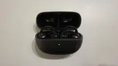 Item thumbnail for item 6c9d30a0-ebf5-46ab-a39d-0483aa91b784