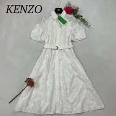 Item thumbnail for item 91aa228d-92cb-4dc0-acb9-5e48bcc2a056