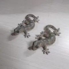 ヤモリ　マグネット　2匹