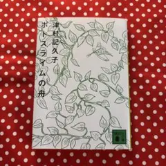 【極美品】ポトスライムの舟