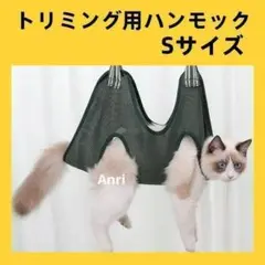 Item thumbnail for item 2944d6bd-a608-475b-8c22-58c53ccc3e36
