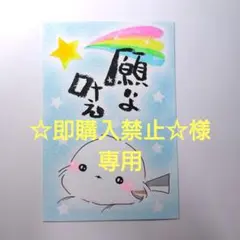 ☆即購入禁止☆様