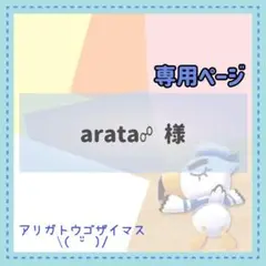 arata☍様 リクエスト 2点 まとめ商品