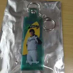 阪神タイガース　ガラコロ　大山悠輔選手